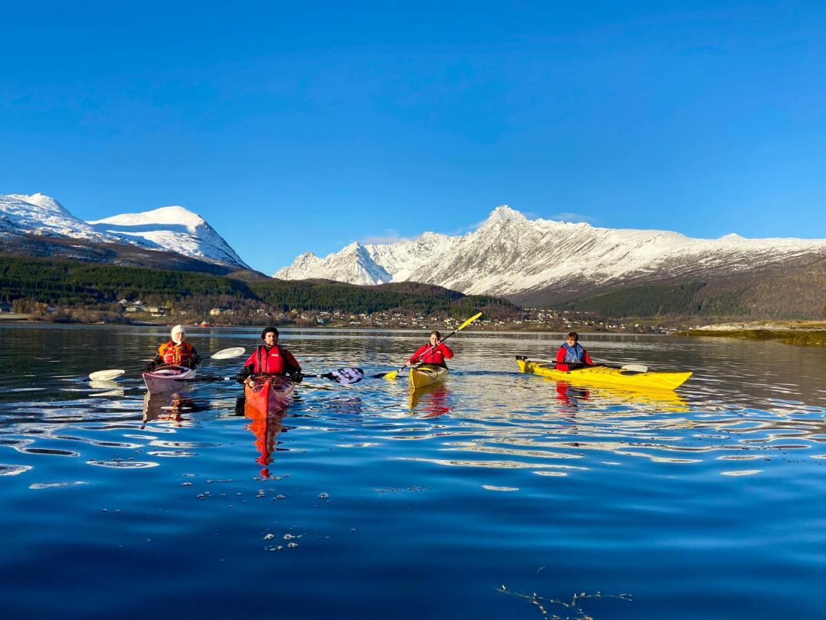 Solhov, Castle Of The Lyngen Alps Hotel Lyngseidet Buitenkant foto