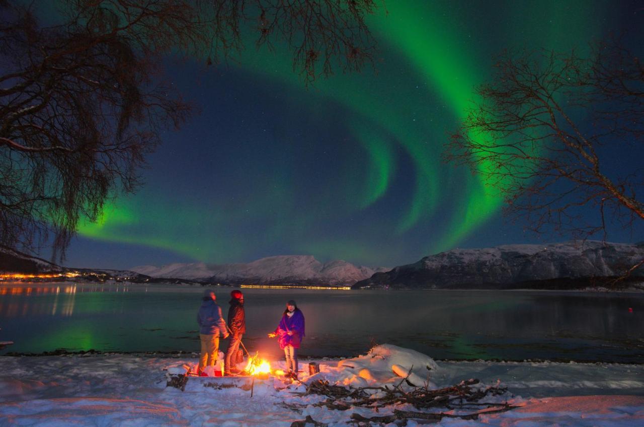 Solhov, Castle Of The Lyngen Alps Hotel Lyngseidet Buitenkant foto